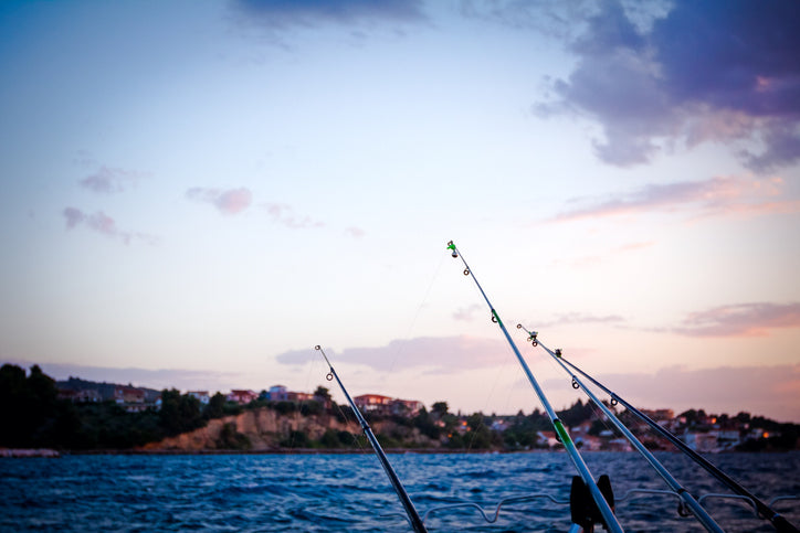 essential fishing poles Rent for Fun and Adventure by the Water! RentFlex360 DaddyGoFish Kids Fishing Pole Basic Fishing The Best Fishing